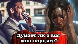 Думает ли о вас ваш нарцисс?