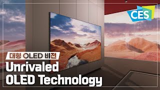 [CES 2024] LG디스플레이의 독보적인 OLED 기술력! | 대형 OLED비전 영상