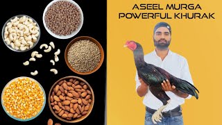 Aseel Murgy ki tayri wali khorak by Aseel Murg Baaz. ( Delhi )