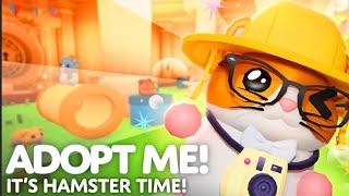 😍Cute Hamsters in Adopt Me!🐹