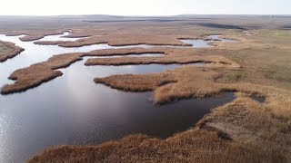 Крымъ 4K: Михайловскій прудъ въ Чурбашской балкѣ у Кошъ-Кую