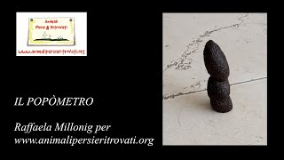 Il Popòmetro - (Raffaela Millonig per www.animalipersieritrovati.org)