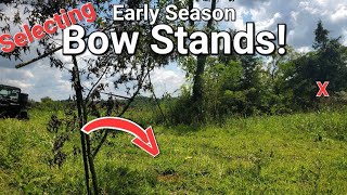 Early Season Whitetail Bow Hunting Stands