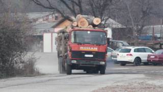 Greenpeace Romania uncovered 35 illegal timber transports in Gorj county, of 25,000 E.