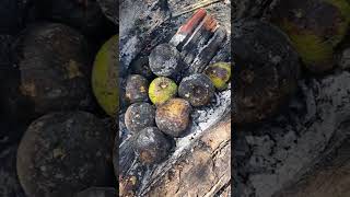 Roasting breadfruit