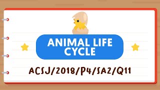 PSLE SCIENCE MADE SIMPLE EP110 | Animal Life Cycle | Deducing Animal A's Life Cycle 🦋