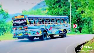 SL bus Tik Tok video #slbus #shorts #status #srilanka #lanka_bullet_gaming#dilhara #expressbus