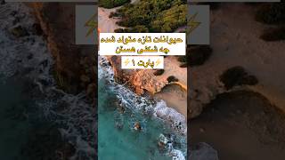 حیوانات تازه متولد شده چه شکلی هستن