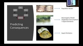 Using Decision Analysis for the Collaborative Management of Natural Resources