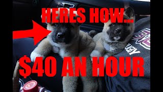 I Made $40 AN HOUR Delivering Puppies At 18! SUPER EASY!