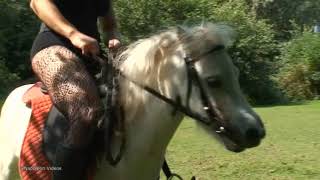 Pony Riding #pony #ponyriding #donkey #donkeyriding #Buffaloriding