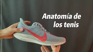 Anatomía de los tenis