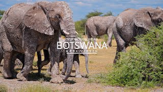 Botswana | Jysk Rejsebureau