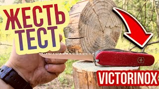 ТЕСТ Пилы Швейцарского Ножа VICTORINOX 91мм в ЖЕСТКИХ Условиях на ЧТО СПОСОБНА?