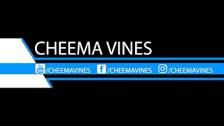 Cheema Vines Live Stream