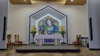 FESTA DA VISITAÇÃO DA BEM-AVENTURADA VIRGEM MARIA  -  ( 31/05/2024 )