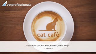 Treatment of CKD: beyond diet, what helps? - 8th May 2020