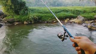 COBA MANCING DI PAGI HARI TERNYATA UHUYY