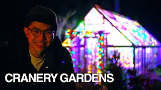 Greenhouse Christmas Lights, Holiday Centerpiece, Cooking Easy Thai Noodles