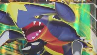 GARCHOMP EX BOX!! Pokemon Pack Wednesdays! #10