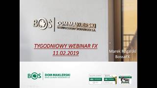 Tygodniowy webinar Marka Rogalskiego 11.02.2019