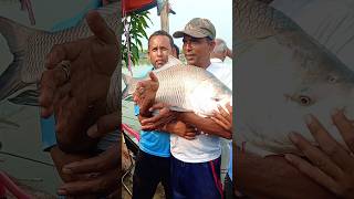 14-Kg Plus Big Monstar Catla Fish Hunting Wow 😲🐟