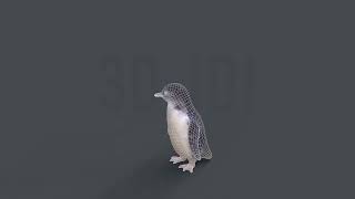 Little Penguin 3D Low poly Game Ready