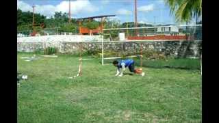 entrenamiento para arqueros