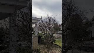 #17 08April2024 (#17.7) Solar Eclipse, Schenectady NY. Наблюдаем Затмение Солнца.