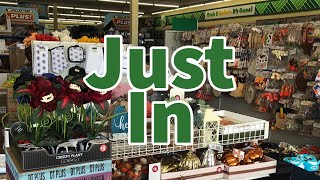 Dollar Tree 2023 | NEW Finds This Week😮😮😮