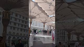 Suasana Masjid Nabawi #shorts #masjidnabawi