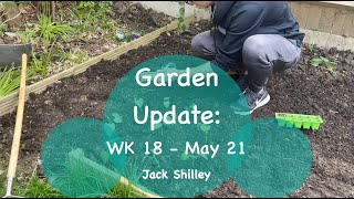 Planting out the first vegetables! | Garden Update - WK 18 - May 2021 | Jack Shilley