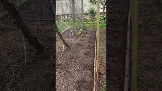 Demain la plantation des tomates à l’extérieur