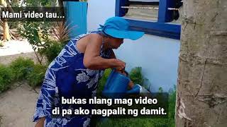 BLUE GARDEN I Simple Life In Batag Island I Nice Day Vlog