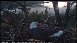 ☁️￼ Low clouds passing Jackie 🦅 Daily nest bowl check 🪹 December 30/2022