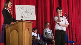 Spelling Bee