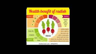 health benefit of radish