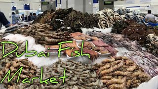 Dubai Fish Market || Water Front ||