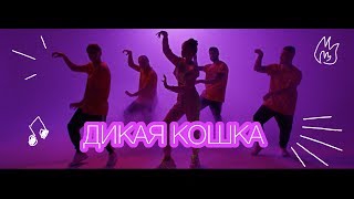 ALEXANDRA - Дикая кошка (ПРЕМЬЕРА КЛИПА 2019)