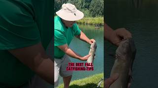 FALL Catfishing Tips AND Fishing Techniques!! #shorts #fishing #catfish