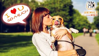 9 Ways to Tell Your Dog You Love Them