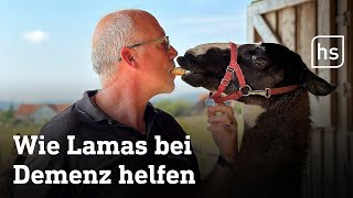 Ein Tag mit Therapie-Tieren: Mit dem Lama bei Demenz-Patienten | hessenschau