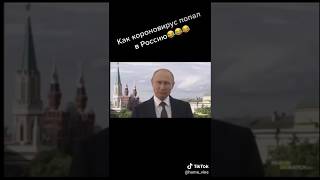 Как коронавирус попал в Россию