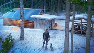 КРУГОМ ЗВЕРИ | Приютила ИЗБА В ТАЙГЕ - Нашел БОЛЬШОЙ ДОМ В ГЛУШИ | БАНЯ В ЛЕСУ