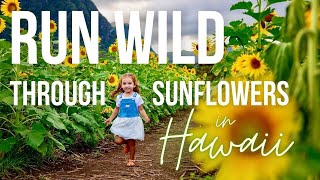 What is Hawaii's Best Pumpkin Patch & Sunflower Field? Best 2022 Fall Festival in Oahu for Families