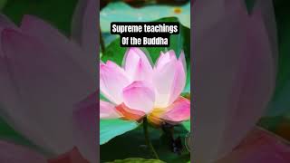 Highest teachings of the Buddha - Nichiren Buddhism #shorts #nichiren #buddha