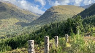 Nevis Forest and Water of Nevis, September 2024