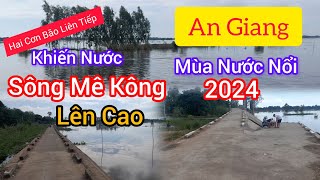 MiLô Trà Sữa Đi Vĩnh Lộc An Phú Chơi Xem Mùa Nước Nổi Sông MêKông 2024 3/10/2024 Hồ Thanh Thái