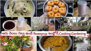 అన్నీ ఇంట్లో ఉన్న వాటితోనే Rosesyrup,Rosemilk||SUMMERSPECIAL| కమ్మని పెరుగువడ#dailyvlog #teluguvlogs