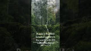 The most forested country in the world#shorts #facts #